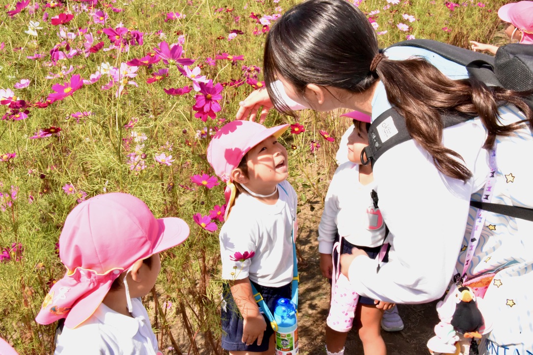 🌸年少・中コスモス畑🌸