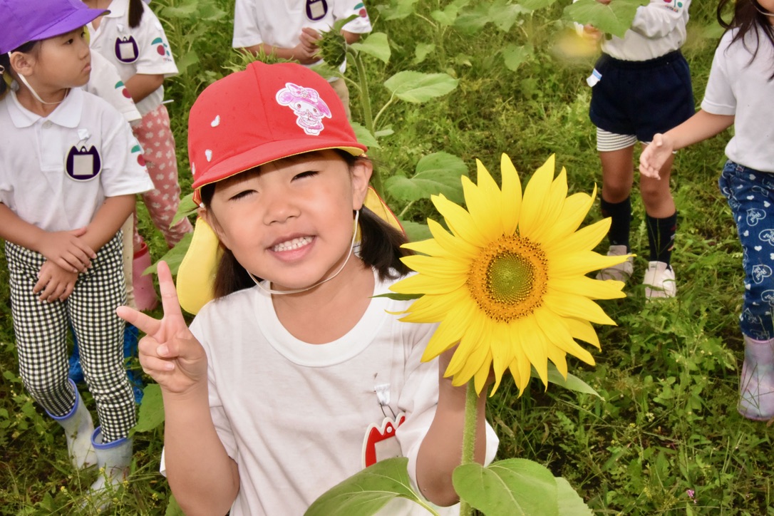 🌻ひまわり畑へGO🌻